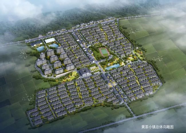 龍游縣士元黃茶小鎮安置小區項目