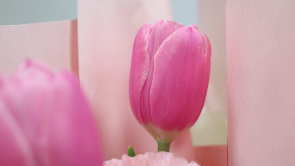 春風十里，芳華如你 | 科信聯合開展女神節專題活動